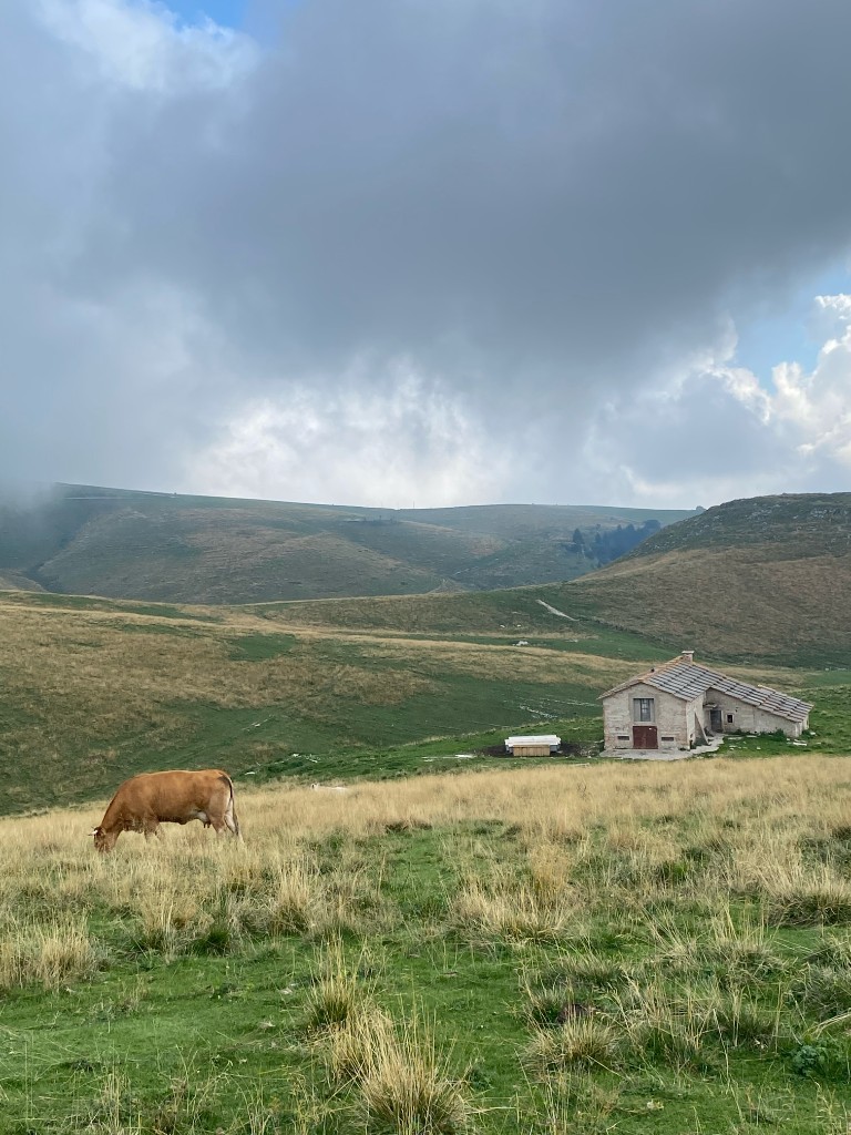 Mountain pasture and traditional malga landscape in Lessinia