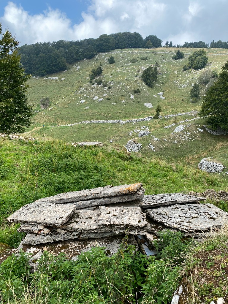 Stone and pasture landscape in the Lessinia mountains