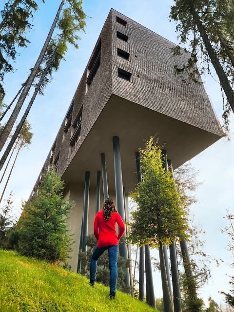 My Arbor Plose Wellness Hotel — Summer Camp 2027
