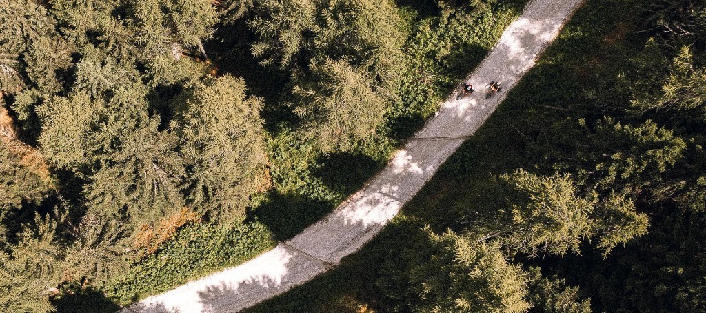 Aerial view of cycling on a forest gravel path · South Tyrol