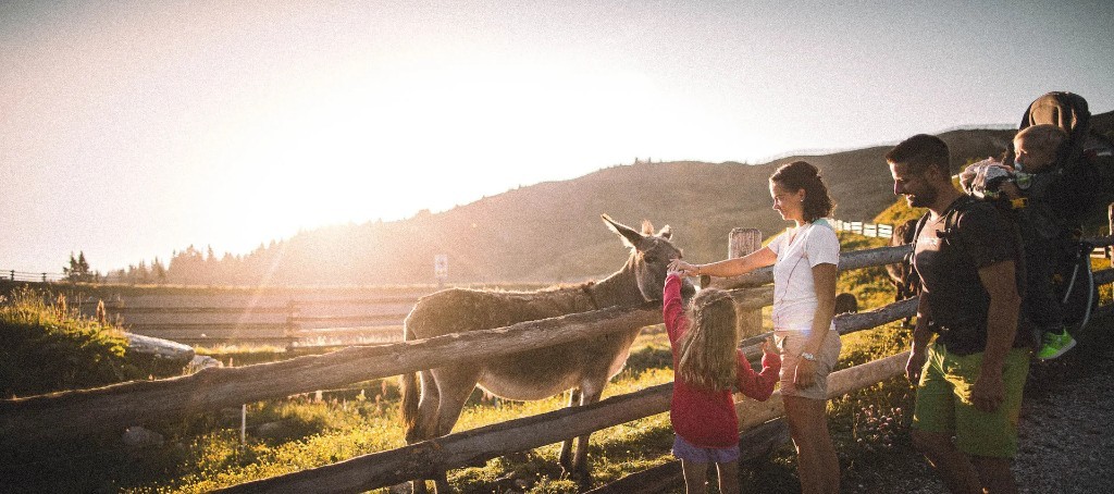 Family with a donkey in the alpine meadow · Racines