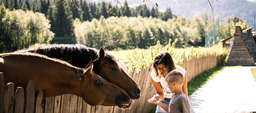 Family meeting horses at the fence · Alpura Retreat