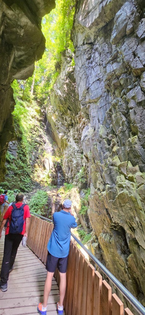 Guided walk on the gorge boardwalk · 2024