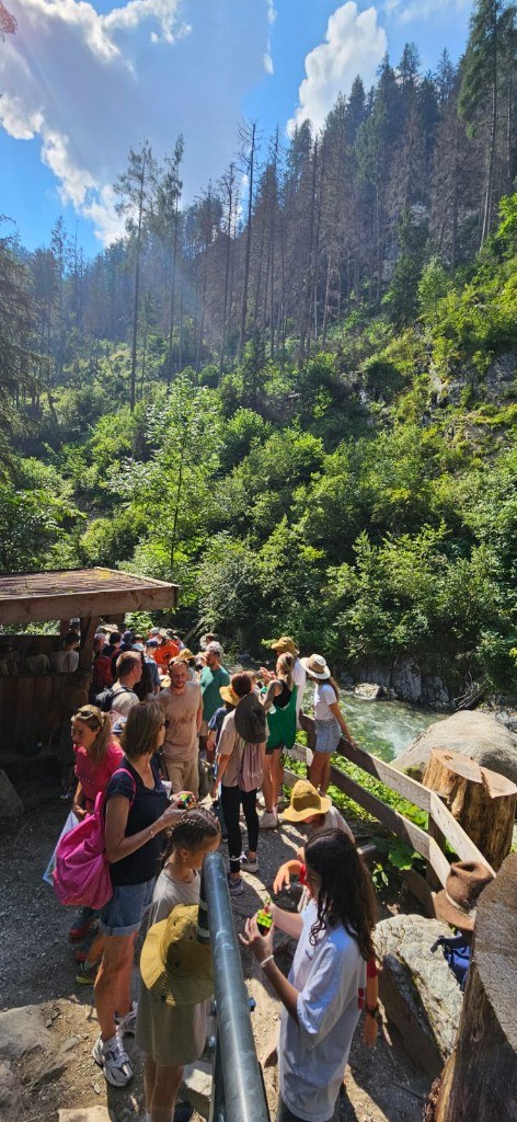 Group hike beside the mountain stream · 2024
