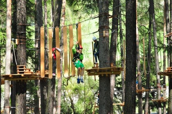 High ropes and zip-line in the pine forest · 2024