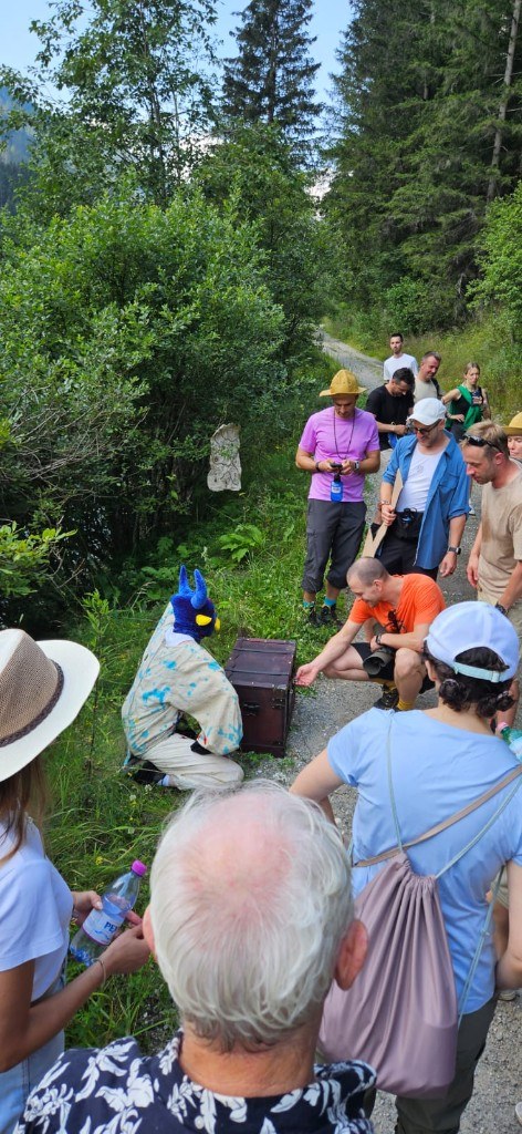 Forest adventure · treasure chest moment 2024