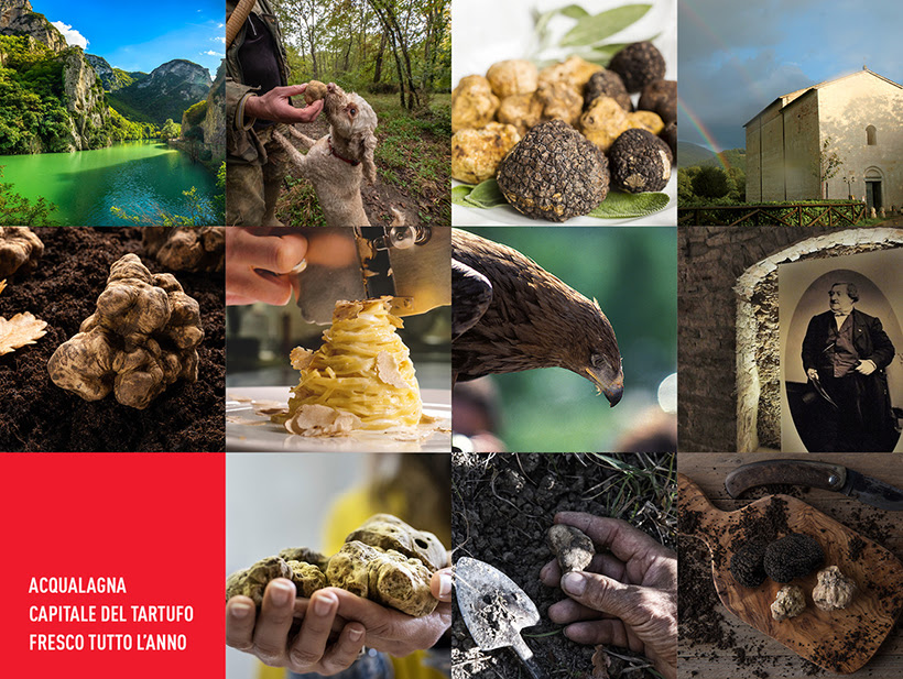 Acqualagna, Marche — official pictures of the white truffle season, OHH! ITALY Journal