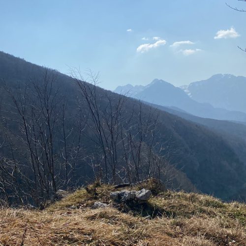 9743E76D-BEC4-4E03-8A46-5D8D6055DA9F