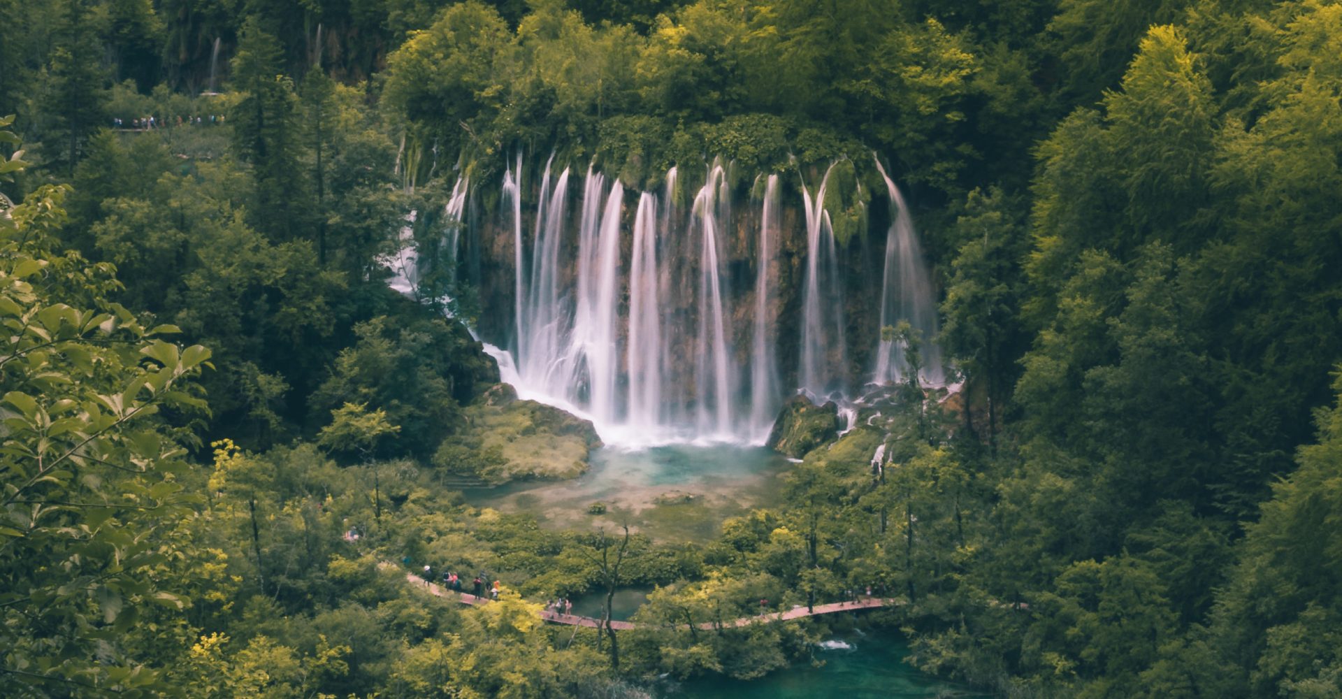 Shutterstock_1186056625-12