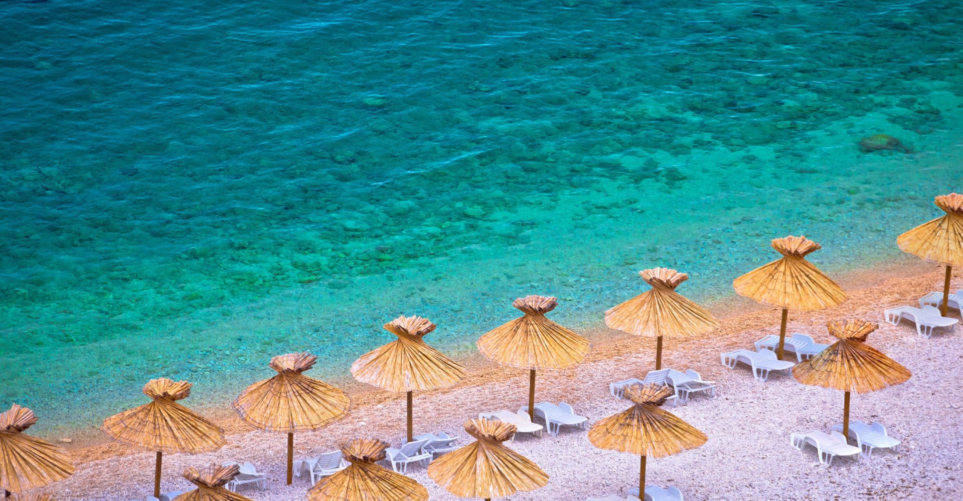 Shutterstock_1186056625-3